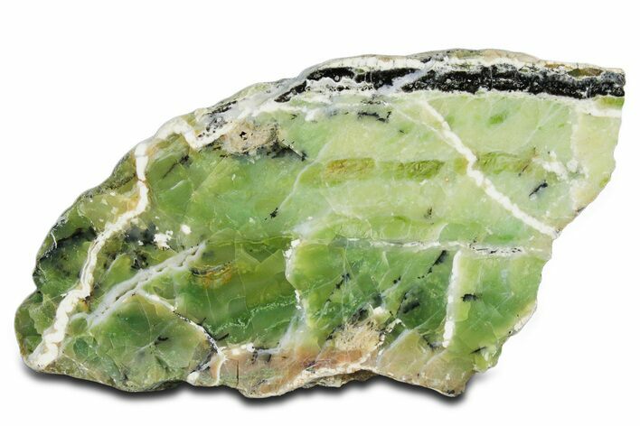 Polished Green-White Opal Section - Western Australia #353734
